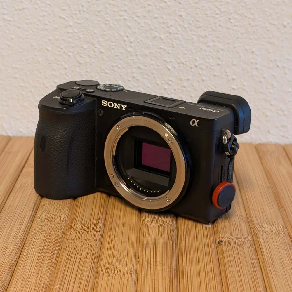 Sony Alpha 6600