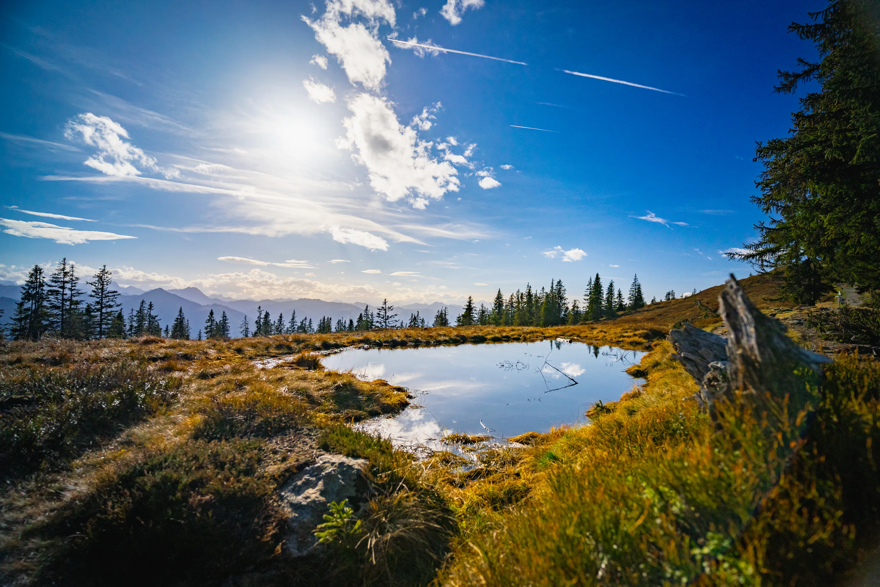 Landschaft rossbrand